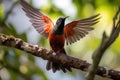 hummingbird fluttering through the air, practicing its flying skills