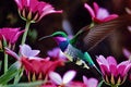 Hummingbird flying near the flower, blurry background, generative ai