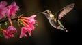 a hummingbird flying near pink flowers Royalty Free Stock Photo