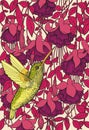 Hummingbird and fuchsia flowers