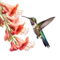 Hummingbird gracefully hovers over vibrant flowers in a lush, tropical setting, surrounded by colorful wildlife and nature