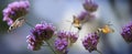 Hummingbird Hawk Moth Macroglossum stellatarum sucking nectar from flower Royalty Free Stock Photo