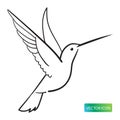 Hummingbird Icon Or Logo Design Vector Image On White Background. Hummingbird Line Logo Icon.