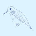 Hummingbird isolated on light blue background. Bird sketch. Vector drawing of colibri for greeting cards, invitations, prints