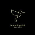 Hummingbird gold line abstract simple modern logo isolated black background