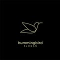 Hummingbird gold line abstract simple modern logo isolated black background