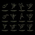 Set collection Hummingbird gold line abstract simple modern logo isolated black background