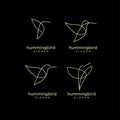 Set collection Hummingbird gold line abstract simple modern logo isolated black background