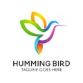 Hummingbird Logo Design, modern animal vector illustration icon