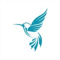 Hummingbird Logo Design Vector Template