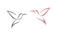 Hummingbird logo. Isolated hummingbird on white background. Outline