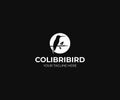 Hummingbird Logo Template. Colibri and Moon Vector Design