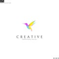 Hummingbird. Logo template. Colorful bird