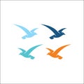 Hummingbird Logo vector template icon