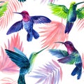 hummingbird and palm leaves. Seamless pattern with tropical flowers and birds. Trendy floral print