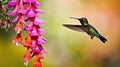 Hummingbird with pink bloom in forest habitat. Colibri thalassinus, flying in the nature tropical wood habitat, red flowe.