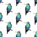 Hummingbird, seamless pattern
