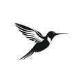Hummingbird Silhouette in black and white. Minimalistic illustration for logo design Royalty Free Stock Photo