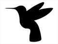 Hummingbird silhouette vector art white background Royalty Free Stock Photo