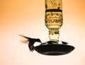 Hummingbird Silhouette hovering and feeding from a glass feeder Royalty Free Stock Photo