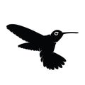 Hummingbird Silhouette Logo Illustration vector Royalty Free Stock Photo