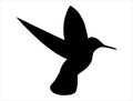 Hummingbird silhouette vector art white background Royalty Free Stock Photo