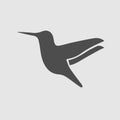 Hummingbird vector icon.