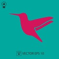 Hummingbird vector icon. Bird symbol