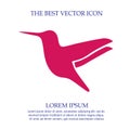 Hummingbird vector icon. Bird symbol. Vector EPS 10