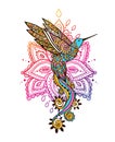 Hummingbird zen ornament mandala. Vector illustration. Colibri Royalty Free Stock Photo