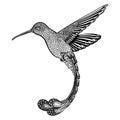 Hummingbird, zentangle style. vector illustration