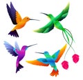 Hummingbirds collection. Exotic tropical little birds flying vector cartoon set Royalty Free Stock Photo