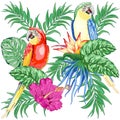 Macaws Parrots Exotic Birds on Tropical Flowers and Leaves Vector Illustration 