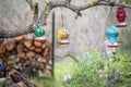 Hummingbirds feeding at feeders hanging from tree branch