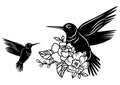 Hummingbirds with flower decor silhouette. Isolated vector set with spring or summer birds for laser cut crafts.