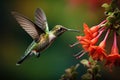 Hummingbirds and flowers in macro photography are a captivating sight