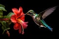 Hummingbirds and flowers in macro photography are a captivating sight