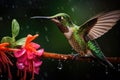 Hummingbirds and flowers in macro photography are a captivating sight