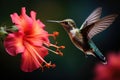 Hummingbirds and flowers in macro photography are a captivating sight