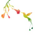 Hummingbirds and flowers silhouettes Royalty Free Stock Photo