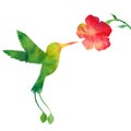 Hummingbirds and flowers silhouettes Royalty Free Stock Photo