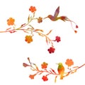 Hummingbirds and flowers silhouettes Royalty Free Stock Photo