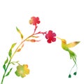 Hummingbirds and flowers silhouettes Royalty Free Stock Photo