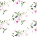Hummingbirds flowers watercolor