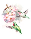 Hummingbirds flying around Flowers Watercolor Bird Illustration Hand Drawn Royalty Free Stock Photo