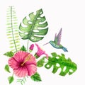 Hummingbirds, hibiscus, monstera, palm leaf. Tropical plants and hummingbirds watercolor