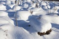 hummocks in the swamp large drifts after snowfalls