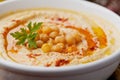 Hummus or houmous, appetizer made of mashed chickpeas, tahini, lemon, garlic, olive oil, parsley and paprika