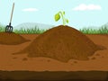 Hummus peat soil