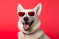 portrait dog pet canine funny smile cute animal sunglasses background. Generative AI.